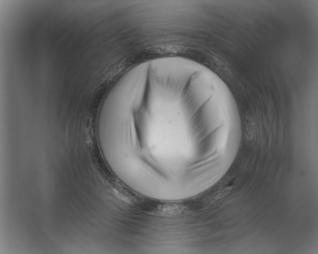 X0000062170414200512301650