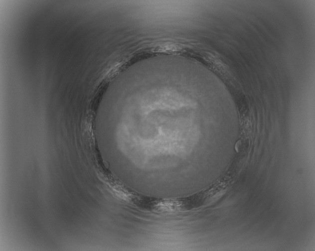 X0000062170415200512301650