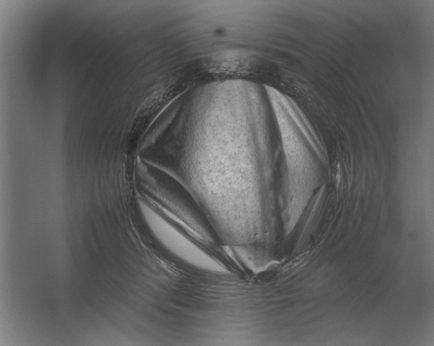 X0000062170416200512301650