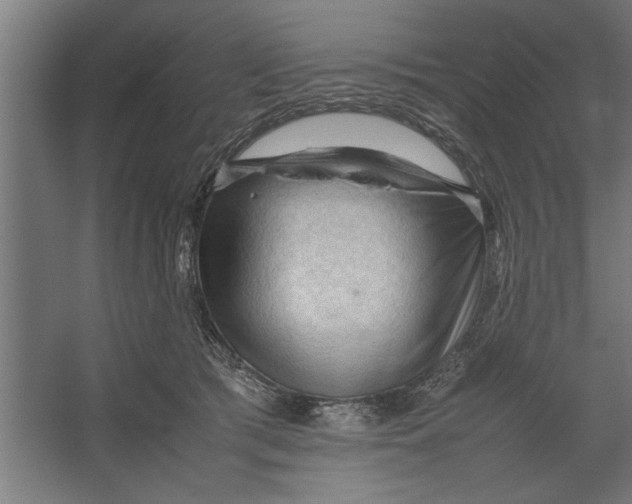 X0000062170417200512301650