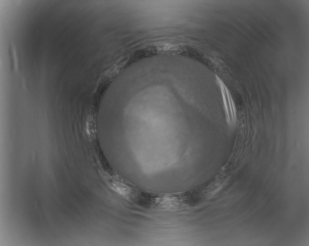X0000062170419200512301650
