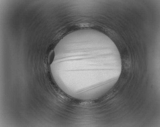 X0000062170422200512301650