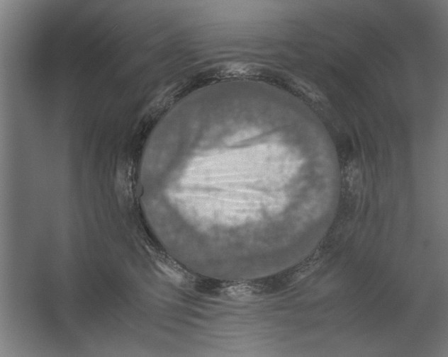 X0000062170423200512301650