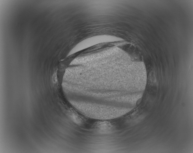 X0000062170424200512301650