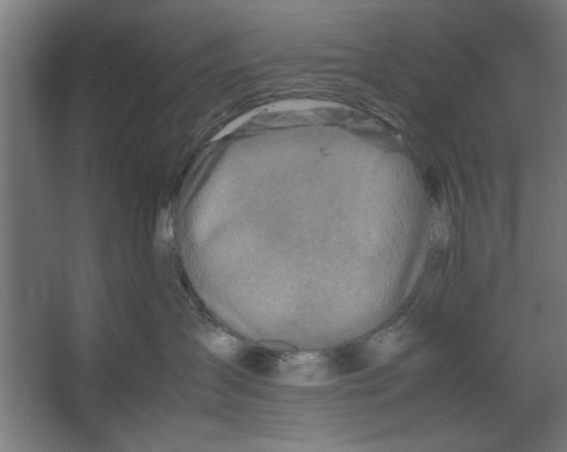 X0000062170431200512301650