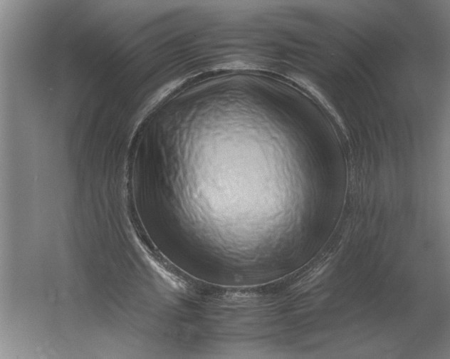 X0000062170437200512301649