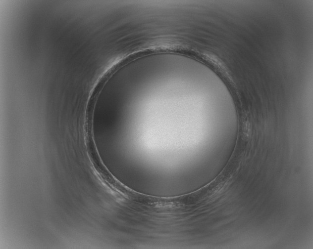 X0000062170439200512301649