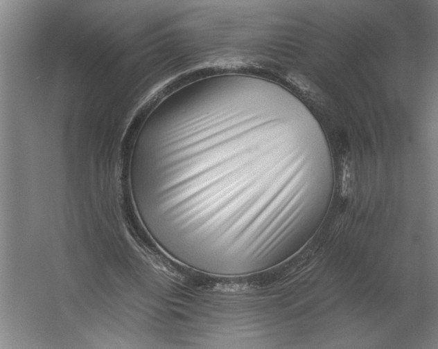 X0000062170440200512301649