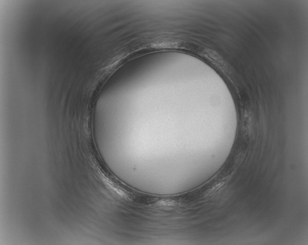 X0000062170441200512301649