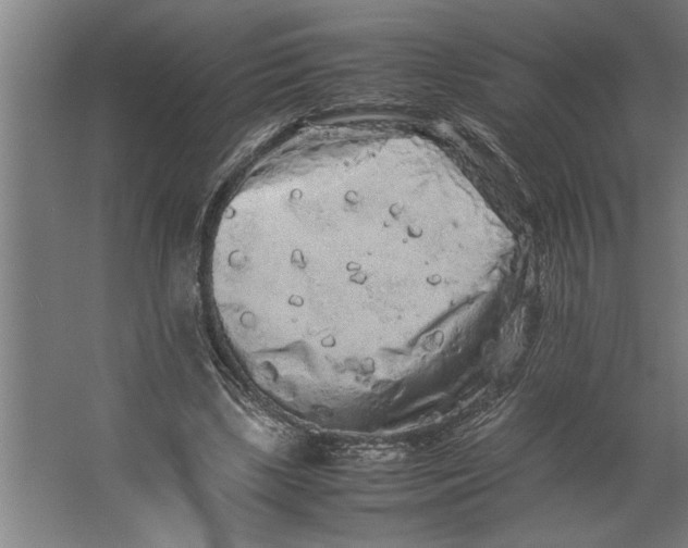 X0000062170443200512301649