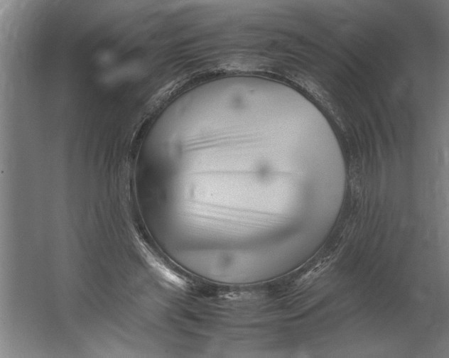 X0000062170445200512301649