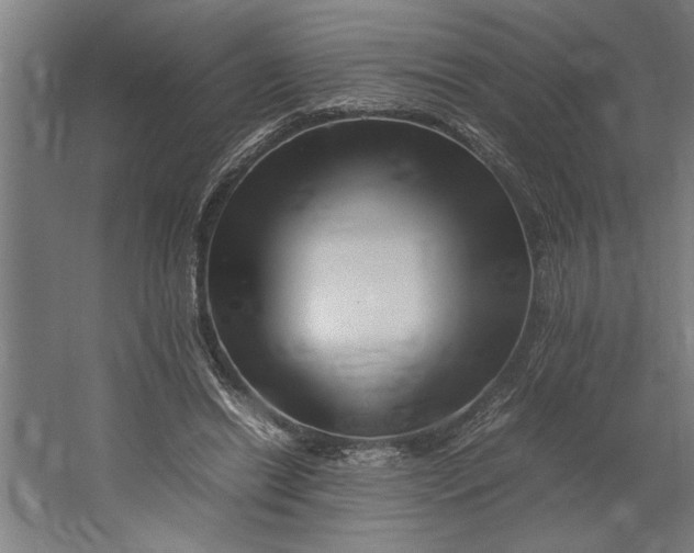 X0000062170446200512301649