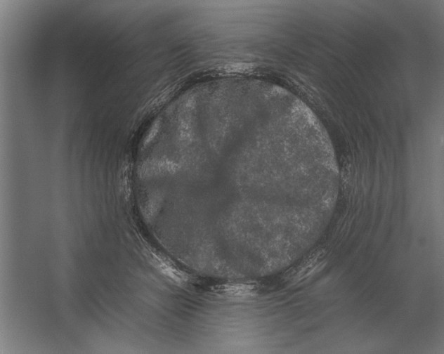 X0000062170462200512301650
