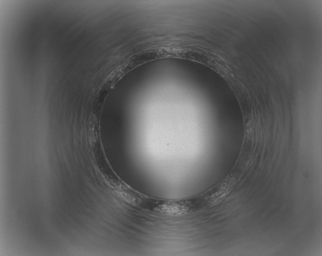 X0000062170464200512301650