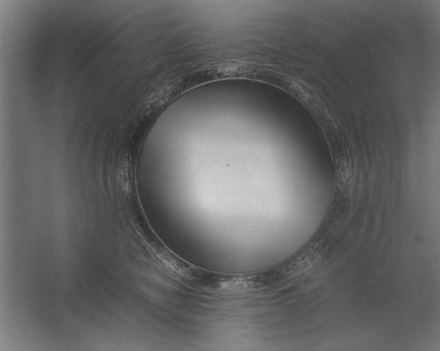 X0000062170470200512301650