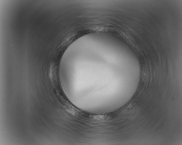 X0000062170473200512301650