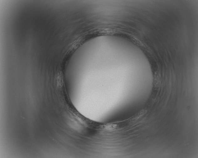 X0000062170474200512301650
