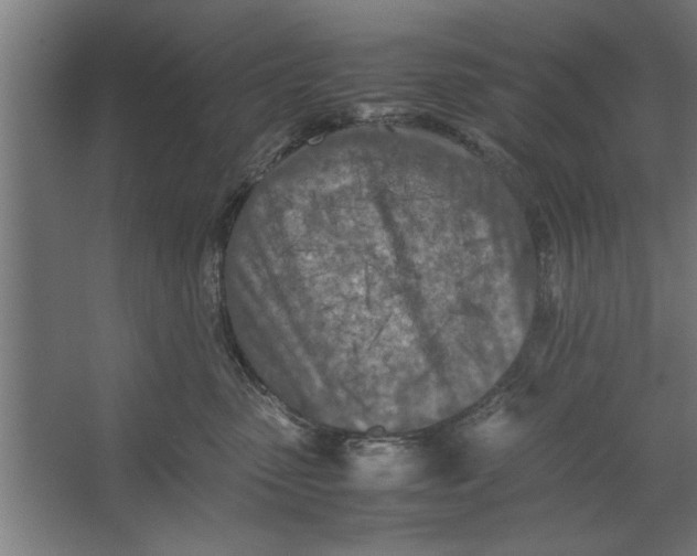 X0000062170475200512301650