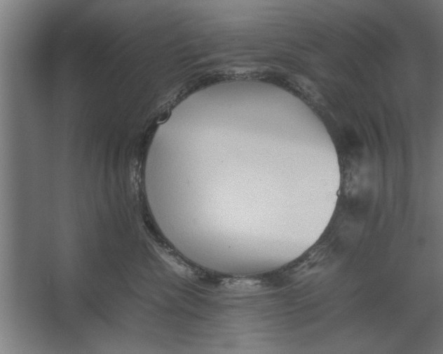 X0000062170476200512301650