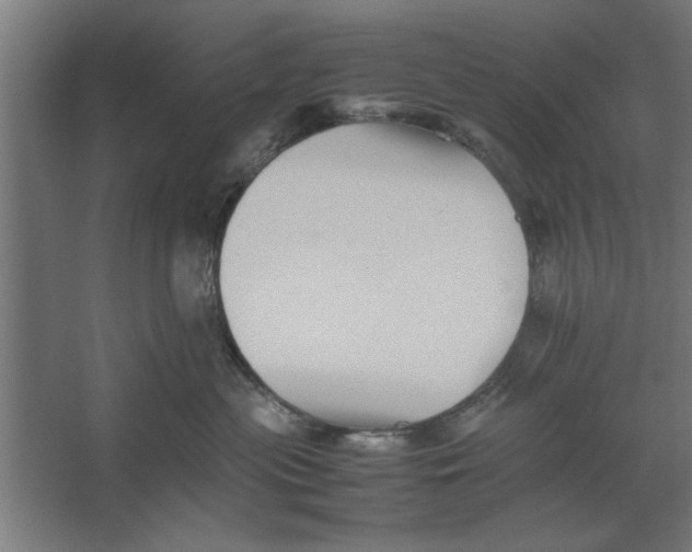 X0000062170477200512301650