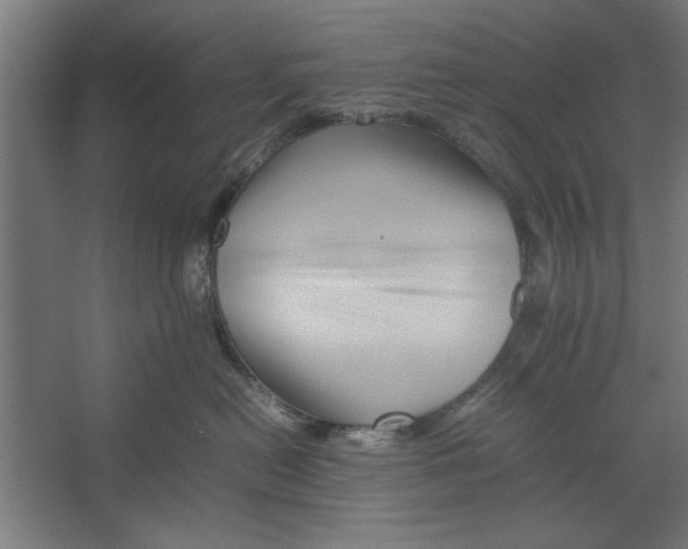 X0000062170478200512301650