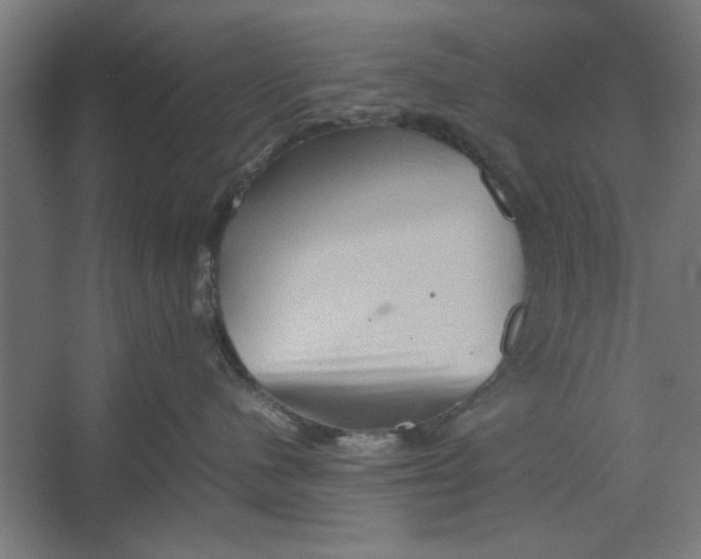 X0000062170480200512301650