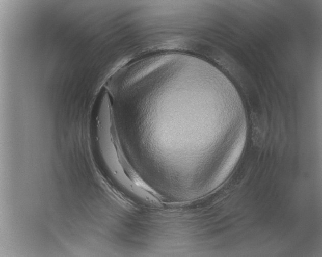 X0000062170482200512301649