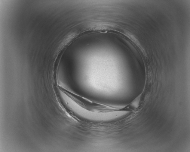 X0000062170485200512301649
