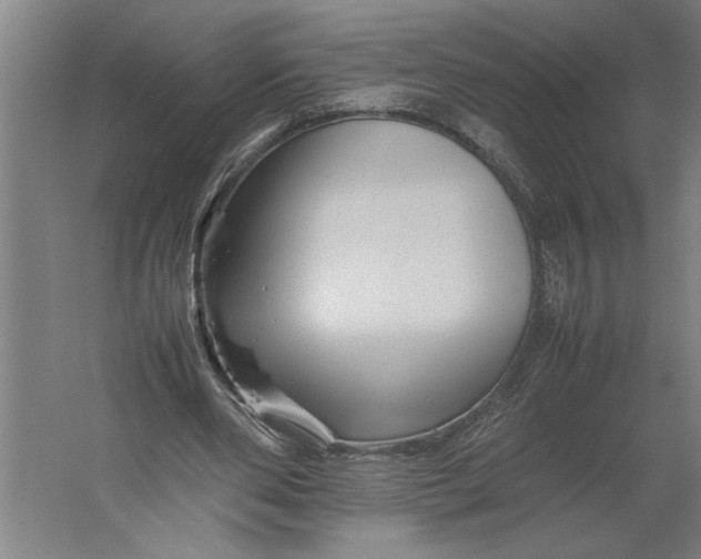 X0000062170486200512301649