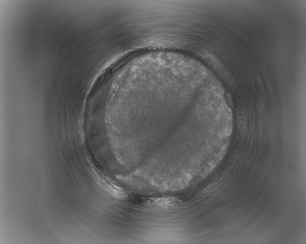 X0000062170488200512301649