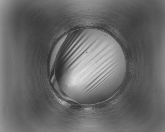 X0000062170489200512301649