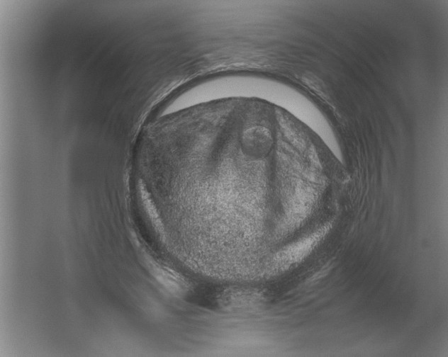 X0000062170491200512301649