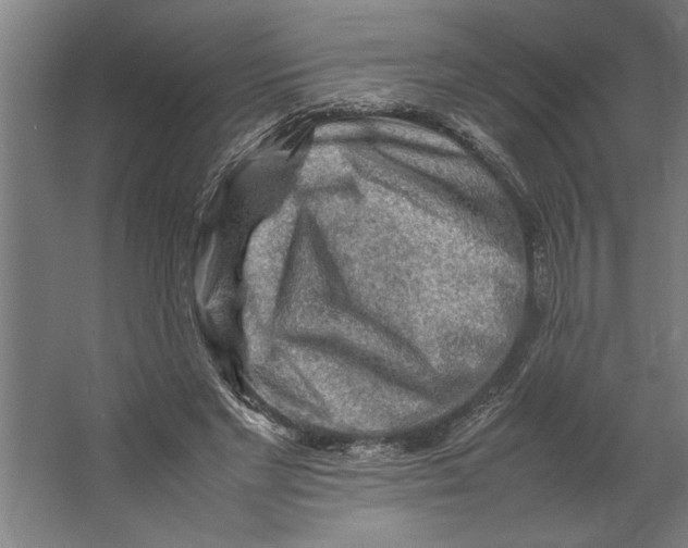 X0000062170493200512301649