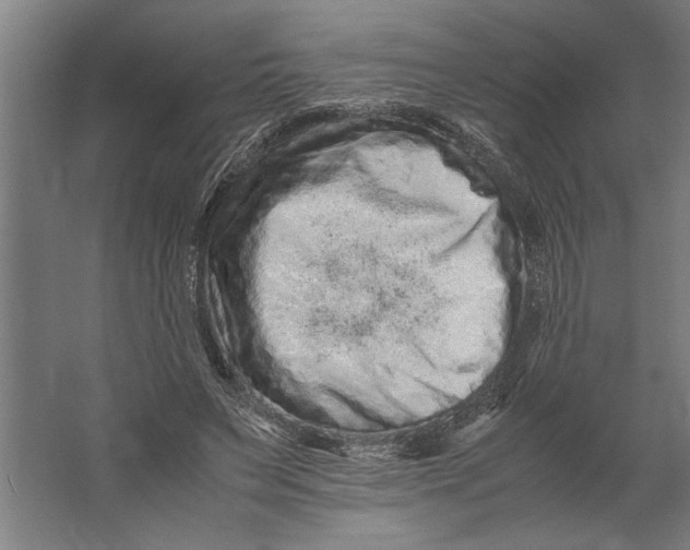 X0000062170495200512301649