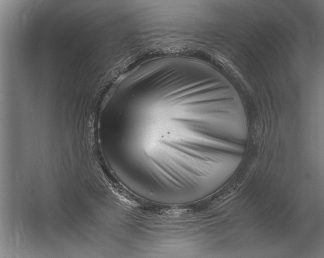 X0000062170497200512301649