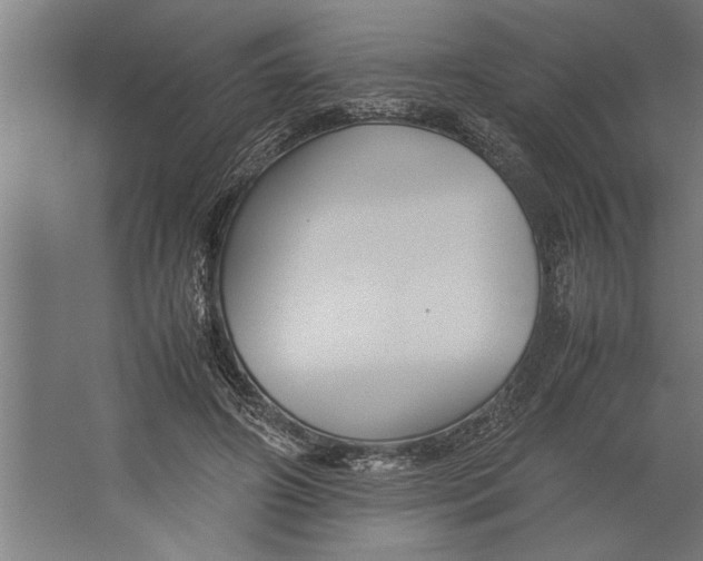 X0000062170498200512301649