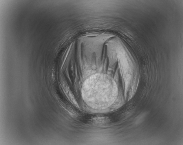X0000062170499200512301649