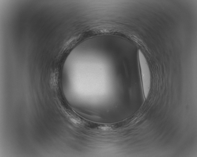 X0000062170509200512301649