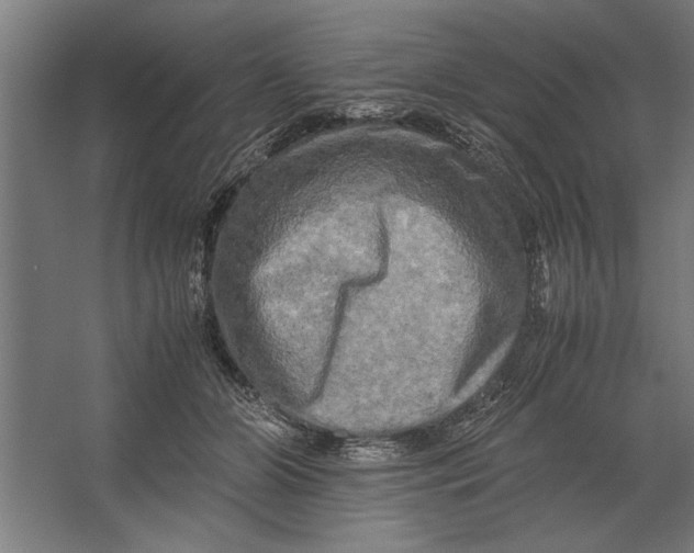 X0000062170510200512301649