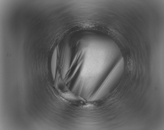 X0000062170512200512301649