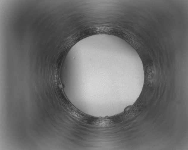X0000062170514200512301649