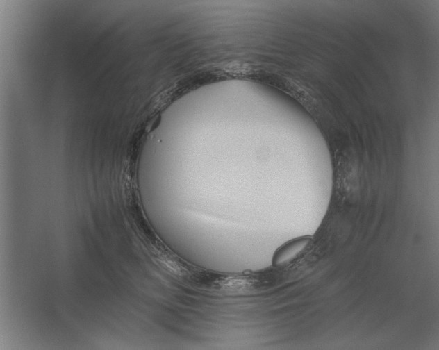 X0000062170518200512301648