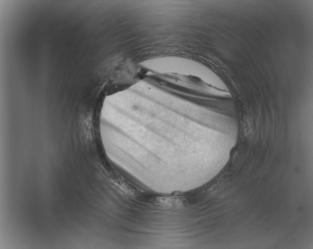 X0000062170520200512301648