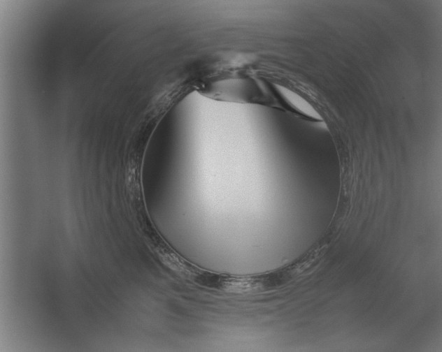 X0000062170521200512301648