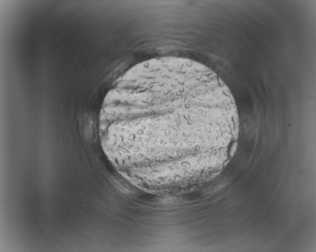 X0000062170527200512301648
