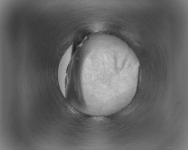 X0000062170528200512301648