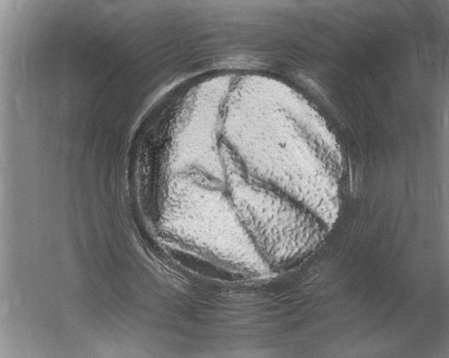 X0000062170531200512301648