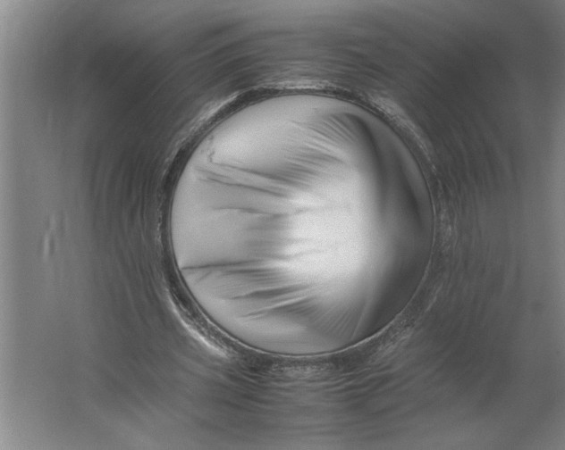 X0000062170533200512301648