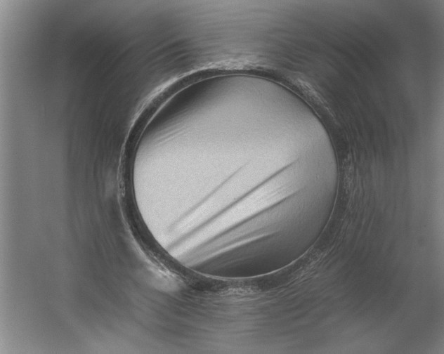 X0000062170536200512301648