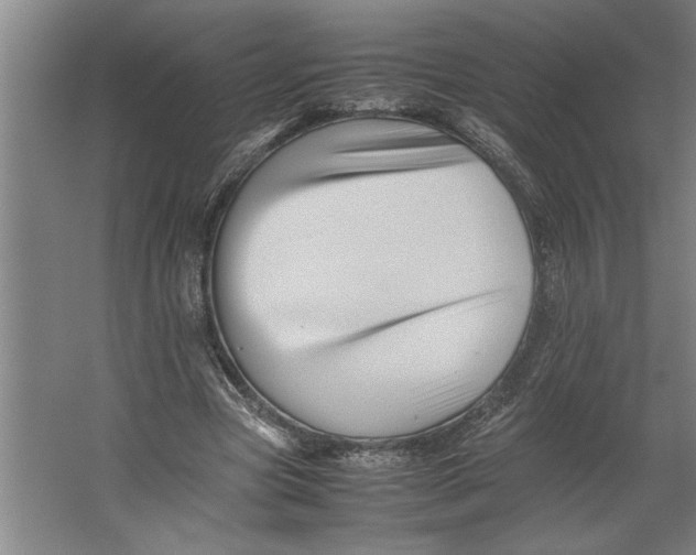 X0000062170537200512301648